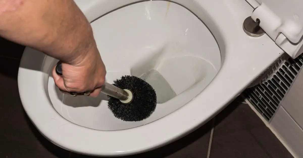 Städar toalett med svart toalettborste